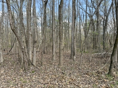 Poultry Farm, Hunting and Recreational Land in Strawberry AR - image 20