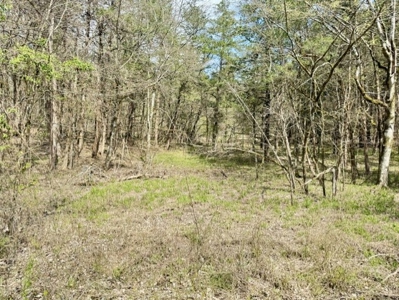 Poultry Farm, Hunting and Recreational Land in Strawberry AR - image 17