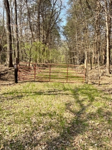 Poultry Farm, Hunting and Recreational Land in Strawberry AR - image 4