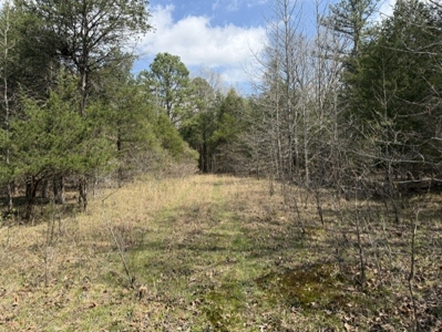 Poultry Farm, Hunting and Recreational Land in Strawberry AR - image 2