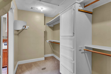 Prestigious Home in Calallen, Wood River Subdivision - image 21