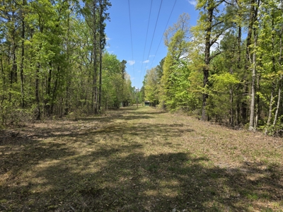 Cabin & 7 Acres – Near National Forest - image 21