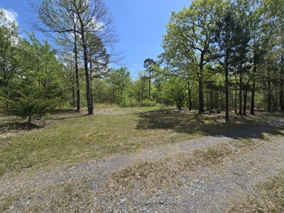 Cabin & 7 Acres – Near National Forest - image 30