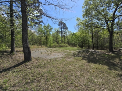 Cabin & 7 Acres – Near National Forest - image 27