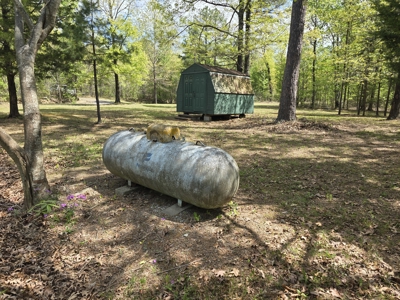 Cabin & 7 Acres – Near National Forest - image 34