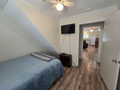 Cabin & 7 Acres – Near National Forest - image 5