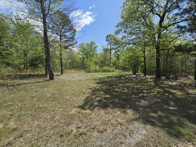 Cabin & 7 Acres – Near National Forest - image 26