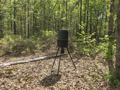 Cabin & 7 Acres – Near National Forest - image 37