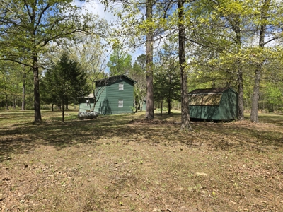 Cabin & 7 Acres – Near National Forest - image 23