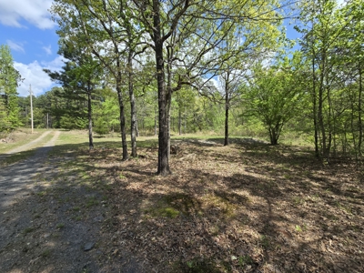 Cabin & 7 Acres – Near National Forest - image 31