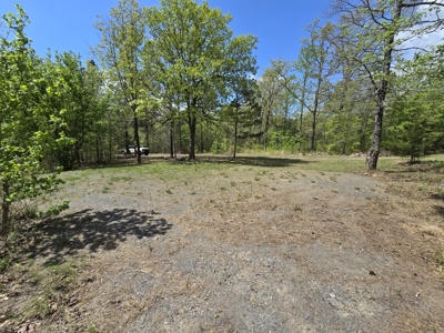 Cabin & 7 Acres – Near National Forest - image 29