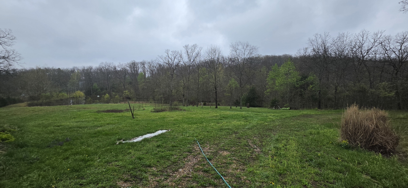 No Caption