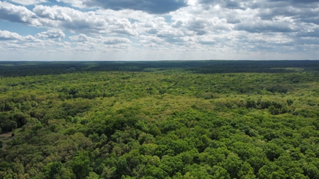 Acreage with Home in Versailles Near Lake of the Ozarks - image 11