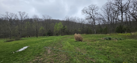 Acreage with Home in Versailles Near Lake of the Ozarks - image 3