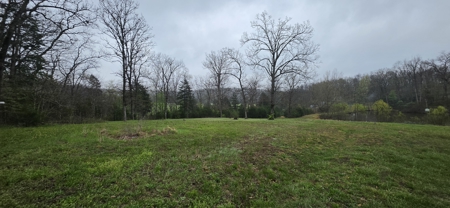 Acreage with Home in Versailles Near Lake of the Ozarks - image 5