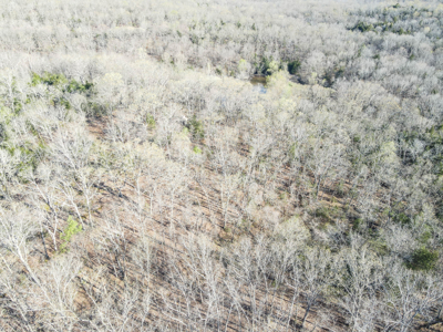 Land For Sale St. Clair County - image 12