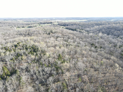 Land For Sale St. Clair County - image 20