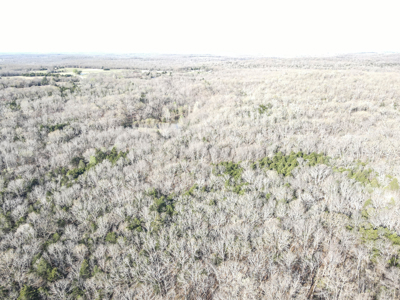 Land For Sale St. Clair County - image 4
