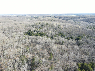 Land For Sale St. Clair County - image 16