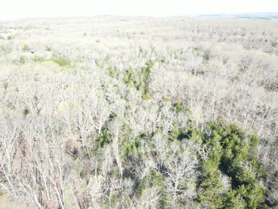Land For Sale St. Clair County - image 2