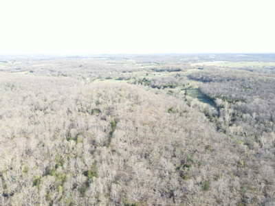 Land For Sale St. Clair County - image 23