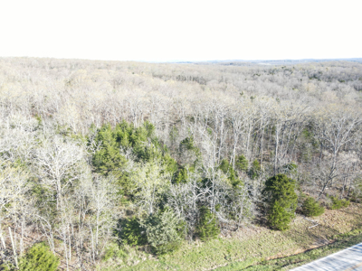 Land For Sale St. Clair County - image 3