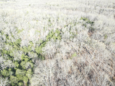 Land For Sale St. Clair County - image 11