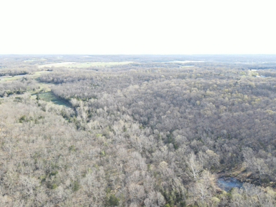 Land For Sale St. Clair County - image 22