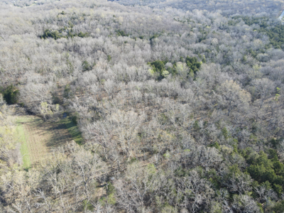 Land For Sale St. Clair County - image 13