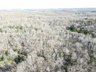 Land For Sale St. Clair County - image 15
