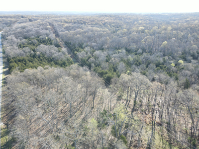 Land For Sale St. Clair County - image 8