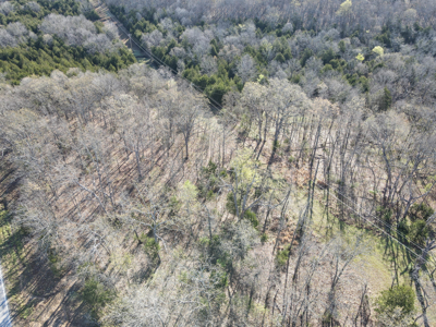 Land For Sale St. Clair County - image 9