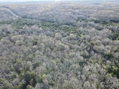 Land For Sale St. Clair County - image 19