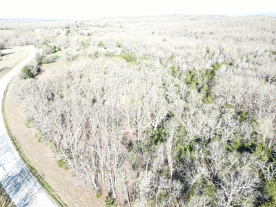 Land For Sale St. Clair County - image 6
