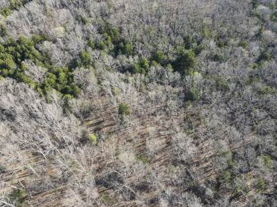 Land For Sale St. Clair County - image 17