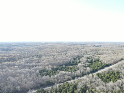 Land For Sale St. Clair County - image 5