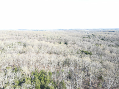 Land For Sale St. Clair County - image 1