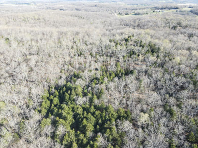 Land For Sale St. Clair County - image 18