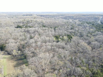 Land For Sale St. Clair County - image 14