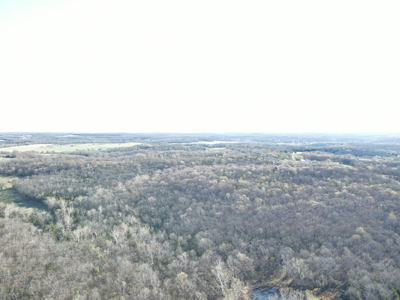 Land For Sale St. Clair County - image 27