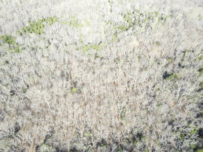 Land For Sale St. Clair County - image 24