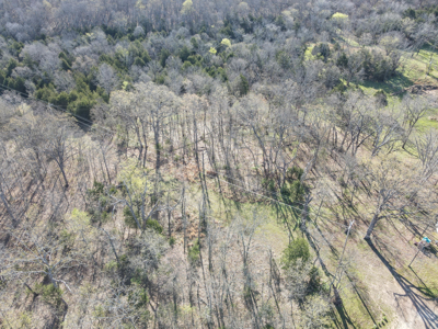 Land For Sale St. Clair County - image 10