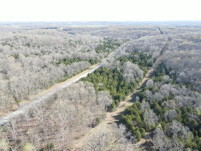 Land For Sale St. Clair County - image 26