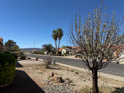 2BR/2BA with Garage & Private Yard – Kingman - image 30