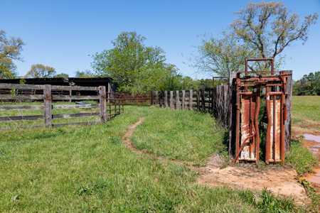 31.738 Acres for Sale on FM 344 Near Bullard Smith County TX - image 47