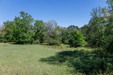 31.738 Acres for Sale on FM 344 Near Bullard Smith County TX - image 40