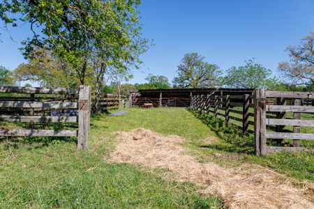 31.738 Acres for Sale on FM 344 Near Bullard Smith County TX - image 27