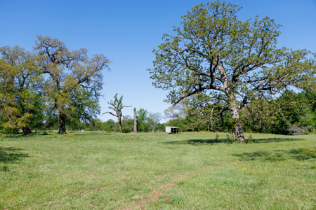 31.738 Acres for Sale on FM 344 Near Bullard Smith County TX - image 36