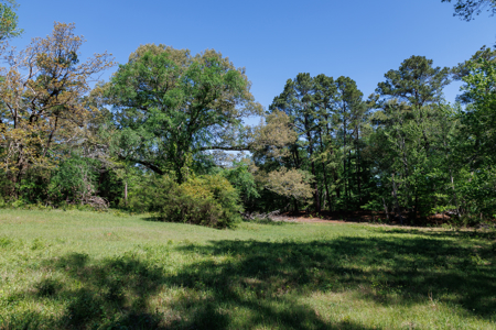 31.738 Acres for Sale on FM 344 Near Bullard Smith County TX - image 41