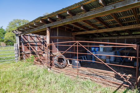 31.738 Acres for Sale on FM 344 Near Bullard Smith County TX - image 28